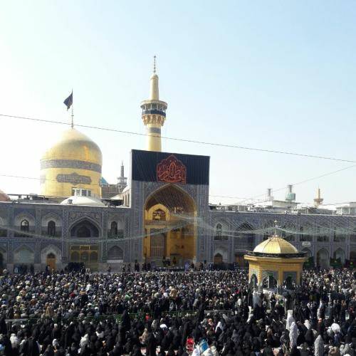 محمود کریمی علی علی حیدر