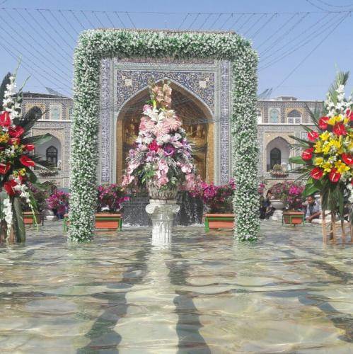 میثم مطیعی 2فخر ایران
