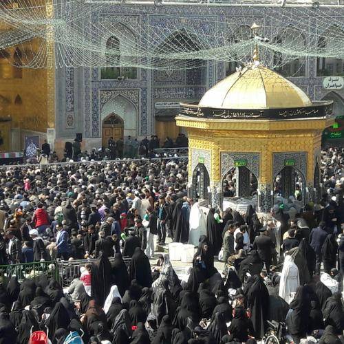 محمود کریمی فدک را نخواهم