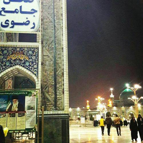رضا نریمانی به جون هر چی مرده