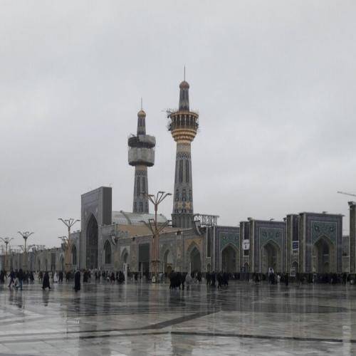 میثم مطیعی فخر ایران5