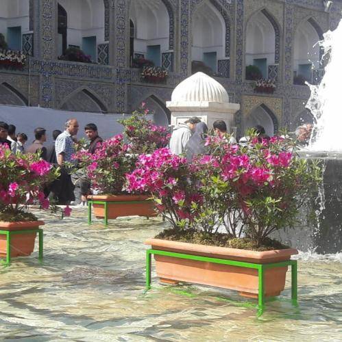 میثم مطیعی بی تو ای سلیمانی