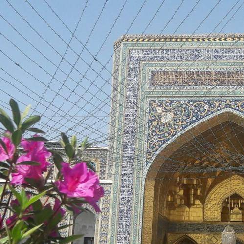 میثم مطیعی فخر ایران1
