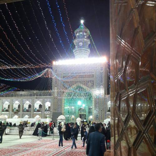 رضا نریمانی علی حلال کن