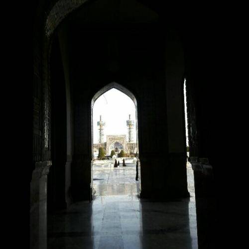 محمود کریمی بنده مهمونه