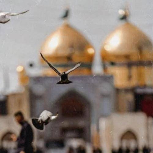 مهدی رسولی روضه بعد از نماز ما