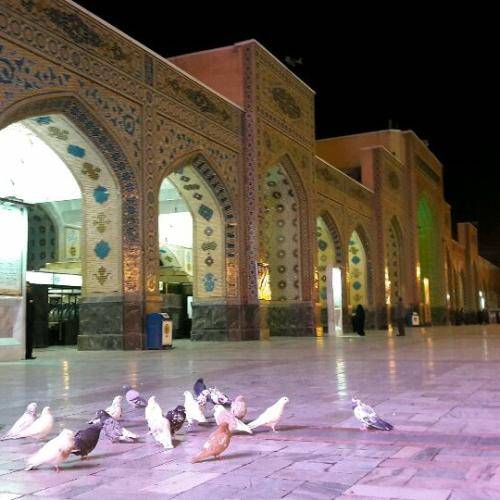 مهدی رسولی آذربایجان سلام 