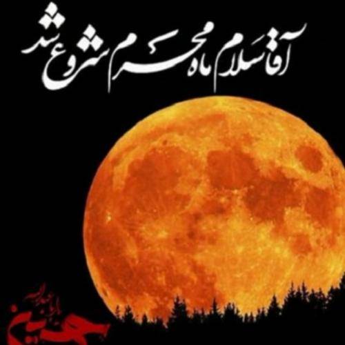مسعود پیرایش زائرت