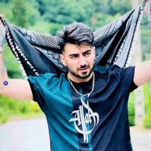رامین تجنگی و محمد امیری دیوانه