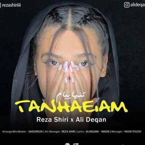 رضا شیری  تنهاییام