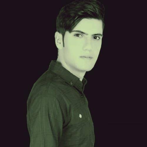 سینا رضایی مشگین مارال