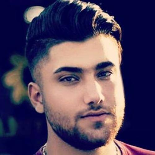 حامد سنجابی کلافه