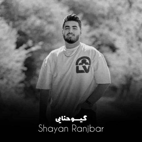 شایان رنجبر گیسو حنایی