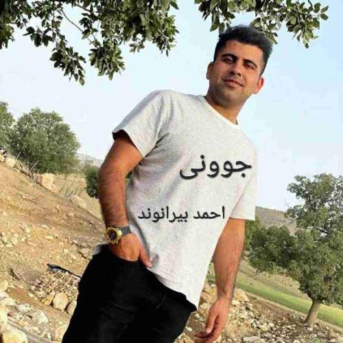 احمد بیرانوند جوونی