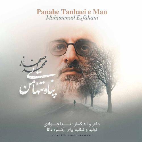 محمد اصفهانی پناه تنهایی من