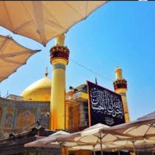 حسین ستوده این شبا