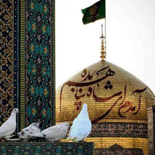 مهرداد ملکی دلبر عراقی