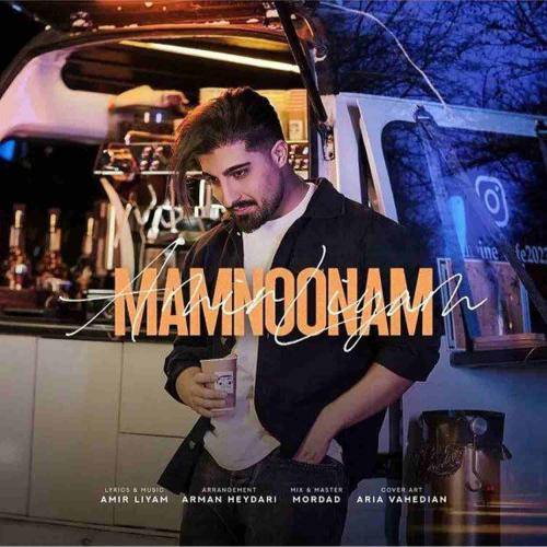 امیر رمضانی ممنونم