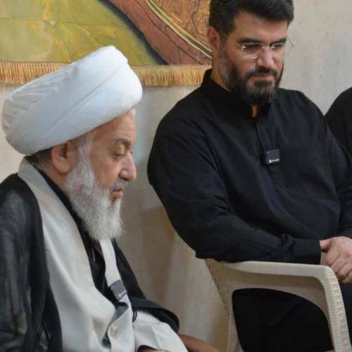 میثم مطیعی یا زهرا تو شکوه فریادی
