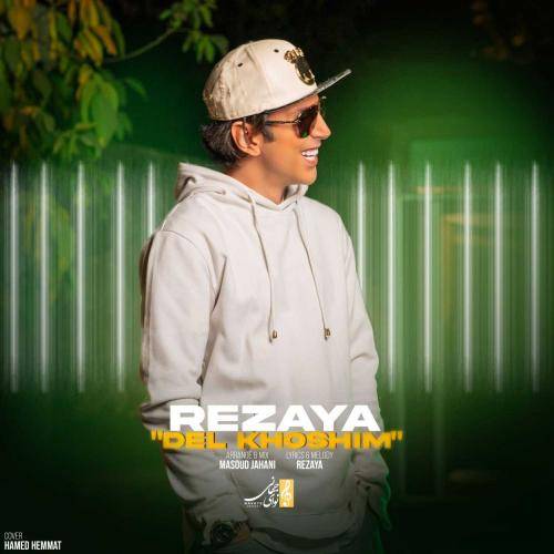 رضایا دلخوشیم