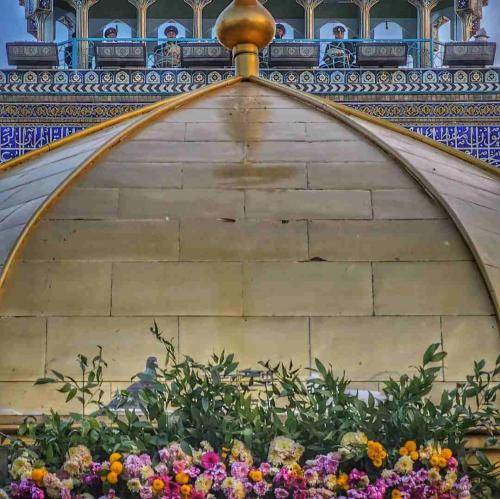 محمد مهدی حسنی عزیز لیلا