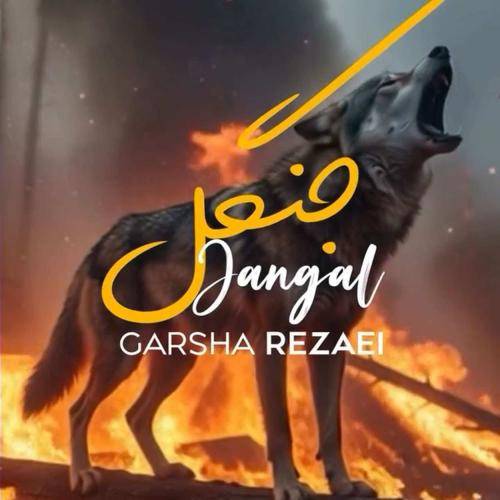گرشا رضایی جنگل