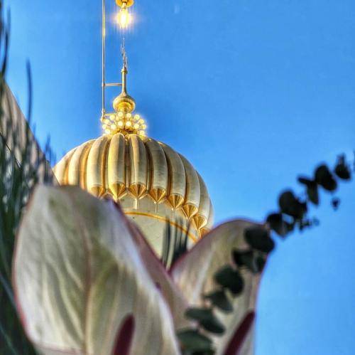 امین قدیم دست خالی