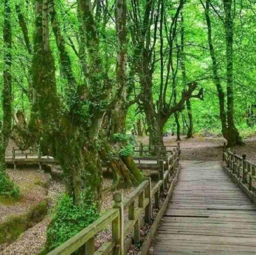 آرمین حیدری خیال منی
